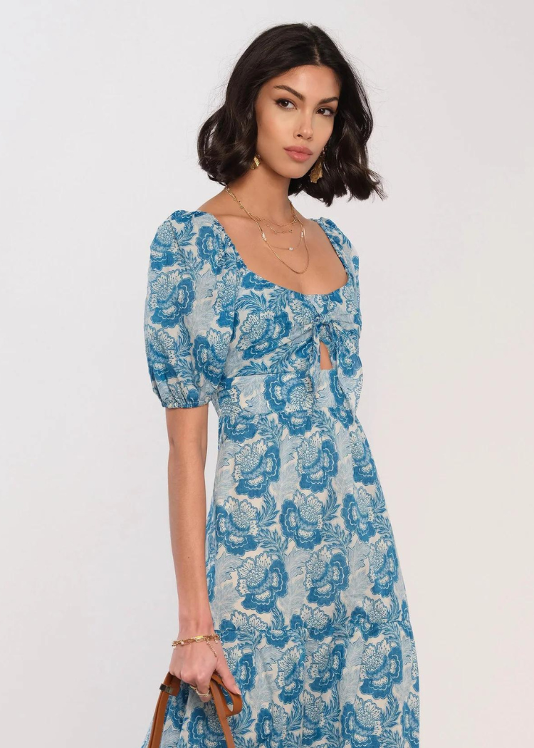 Heartloom Germaine Dress- Chintz-Hand In Pocket